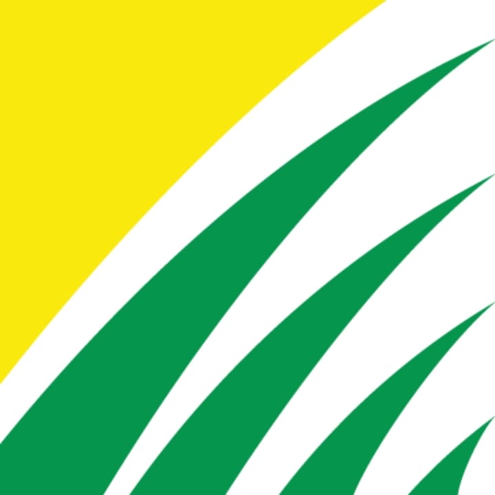 Simply Lawn