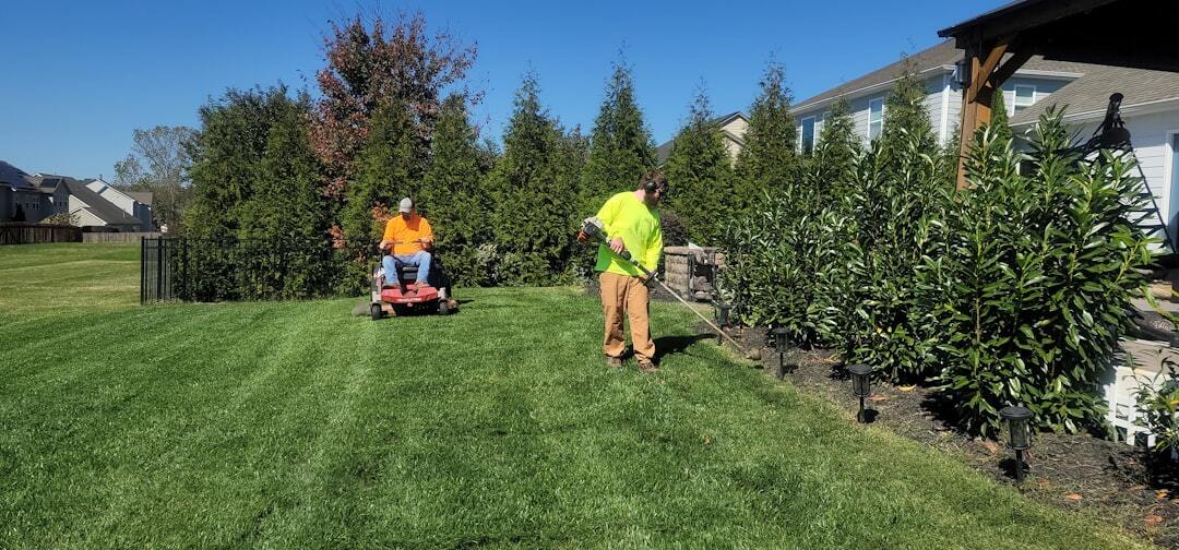 Healthy green lawn maintained with proper lawn care practices