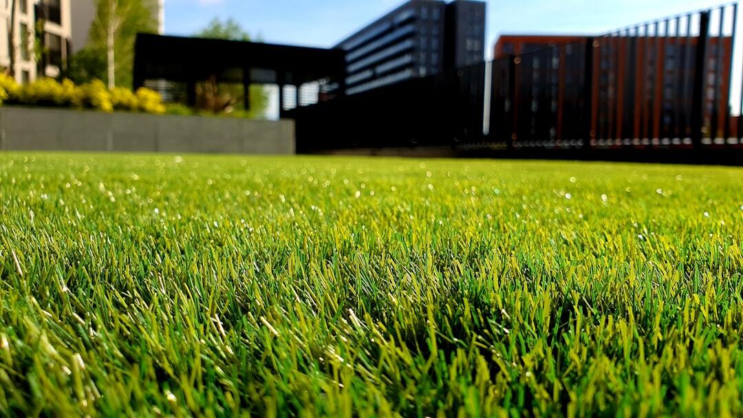 Healthy green lawn maintained with proper lawn care practices