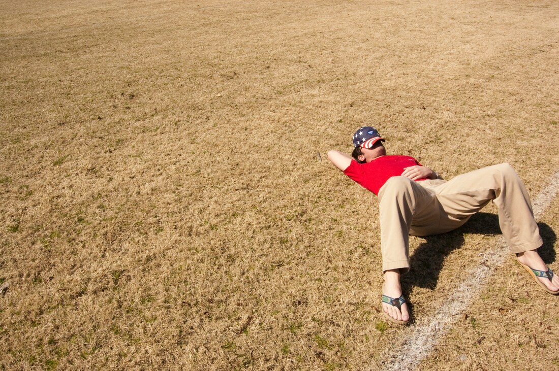 Healthy green lawn maintained with proper lawn care practices