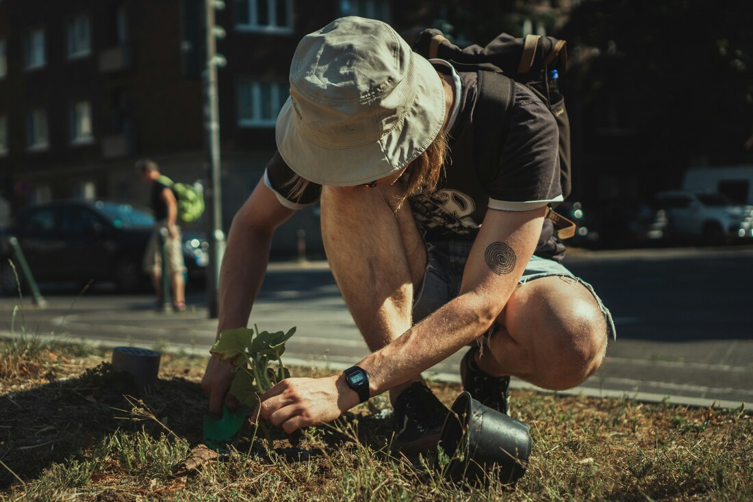 Healthy green lawn maintained with proper lawn care practices