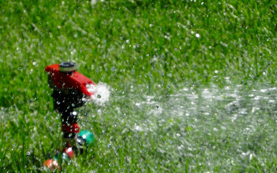 Healthy green lawn maintained with proper lawn care practices