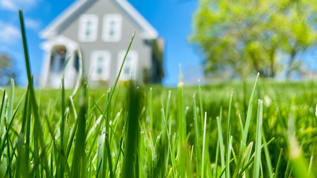 Essential Tips for Healthy Lawn Care