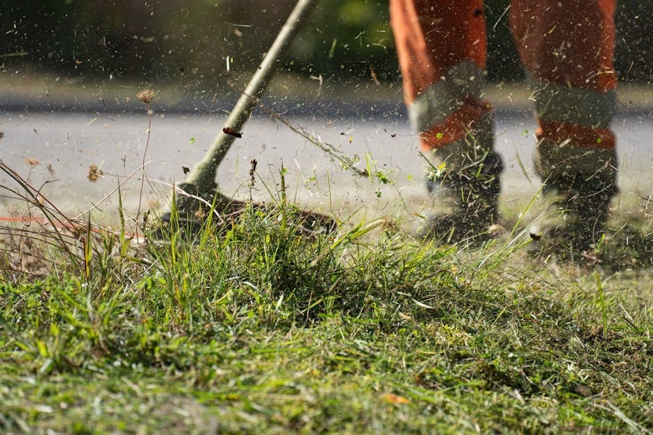 Choosing the Ideal Lawn Care Company: A Simple Guide