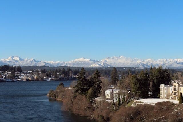 Lawn Care in Bremerton, WA: Expert Tips for a Healthy, Beautiful Yard