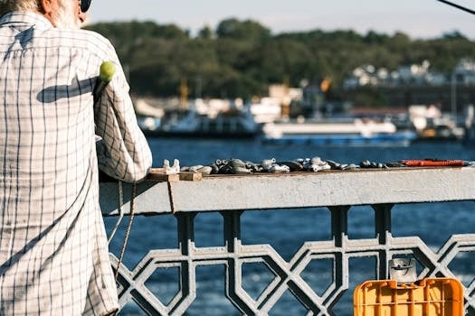 Your Ultimate Guide to Expert Lawn Care Services in Gig Harbor, WA