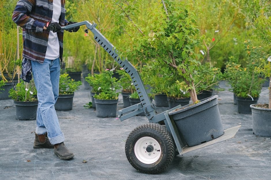 Launch Your Profitable Lawn Care Business: A Step-by-Step Guide for New Entrepreneurs